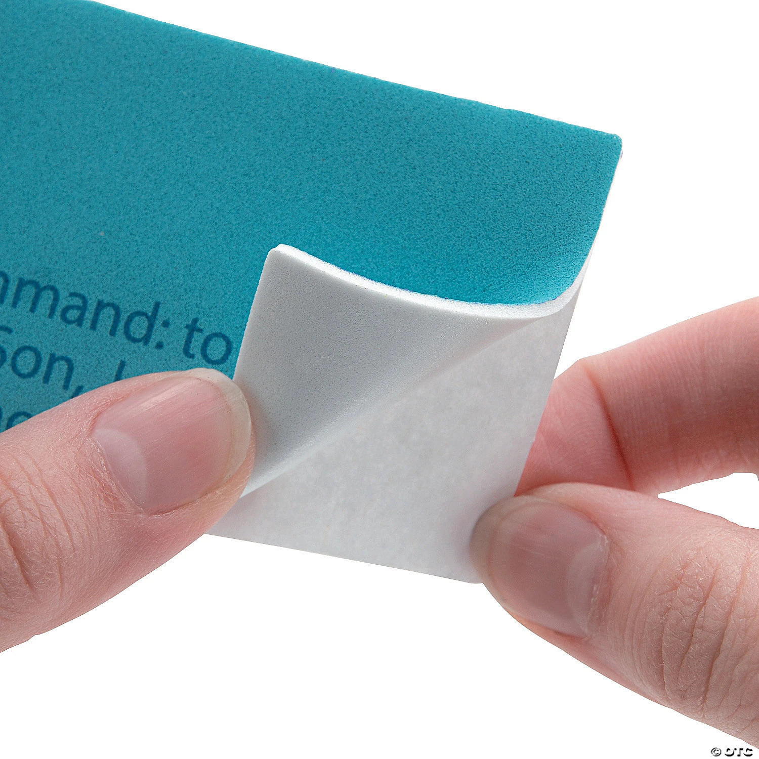 Wholesale π₯° Always Believe Arctic Sign Craft Kit π 3 Wholesale π₯° Always Believe Arctic Sign Craft Kit π - Image 3