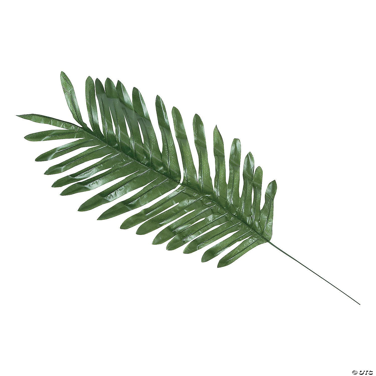 Cheap π₯° Large Palm Leaves - 12 Pc. β 1 Cheap π₯° Large Palm Leaves - 12 Pc. β