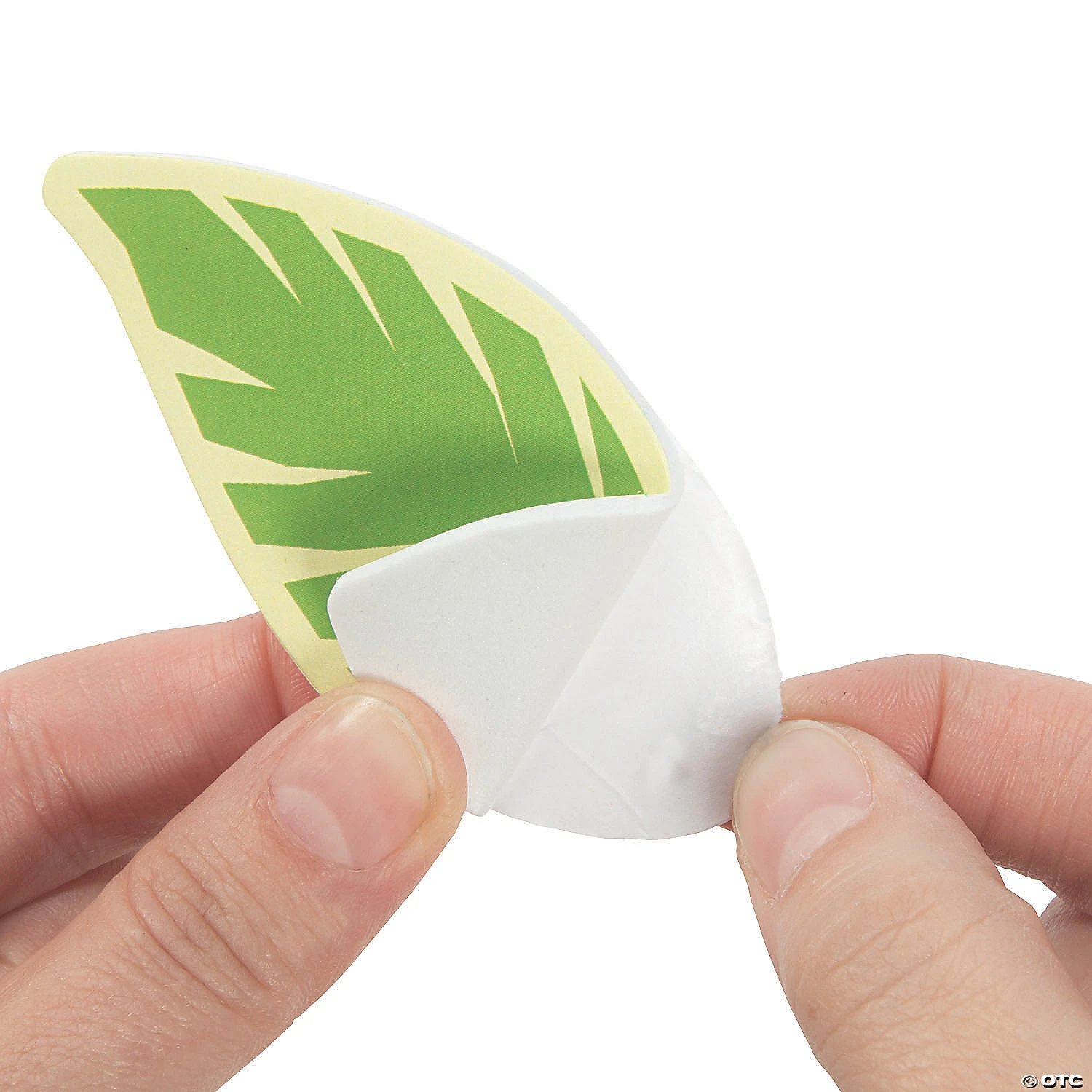 Coupon β Rainforest VBS Picture Frame Magnet Craft Kit - Makes 12 π 3 Coupon β Rainforest VBS Picture Frame Magnet Craft Kit - Makes 12 π - Image 3